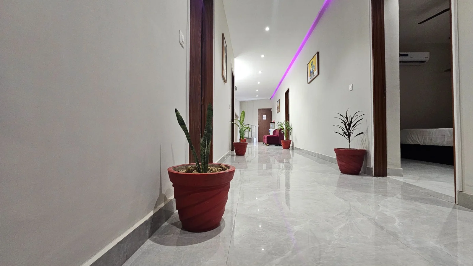 View of Hotel K9
